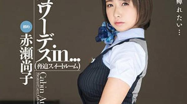 vdd-161 黑丝空姐-赤瀬尚子